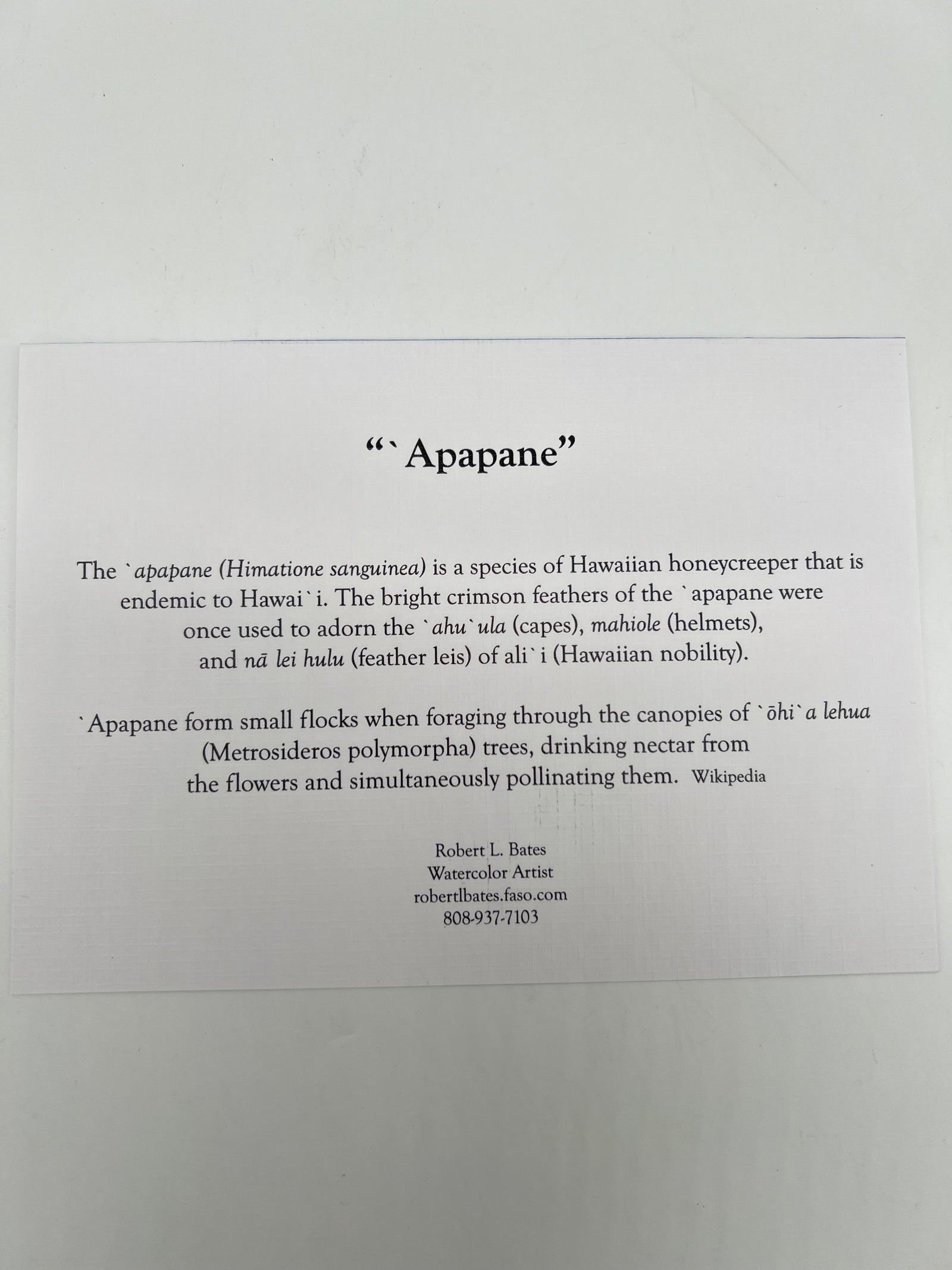 Apapane Bird Greeting Card