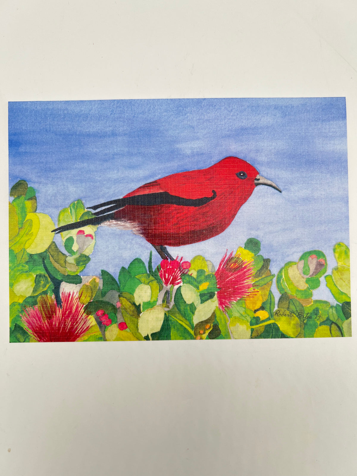 Apapane Bird Greeting Card