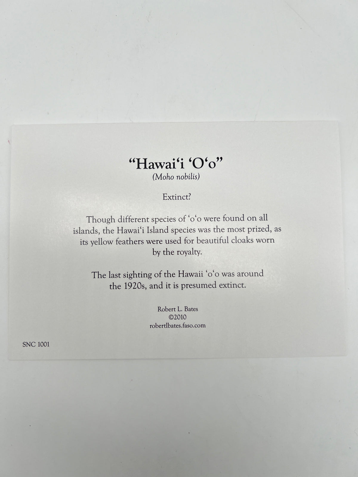 Hawaiian Hawk Greeting Card