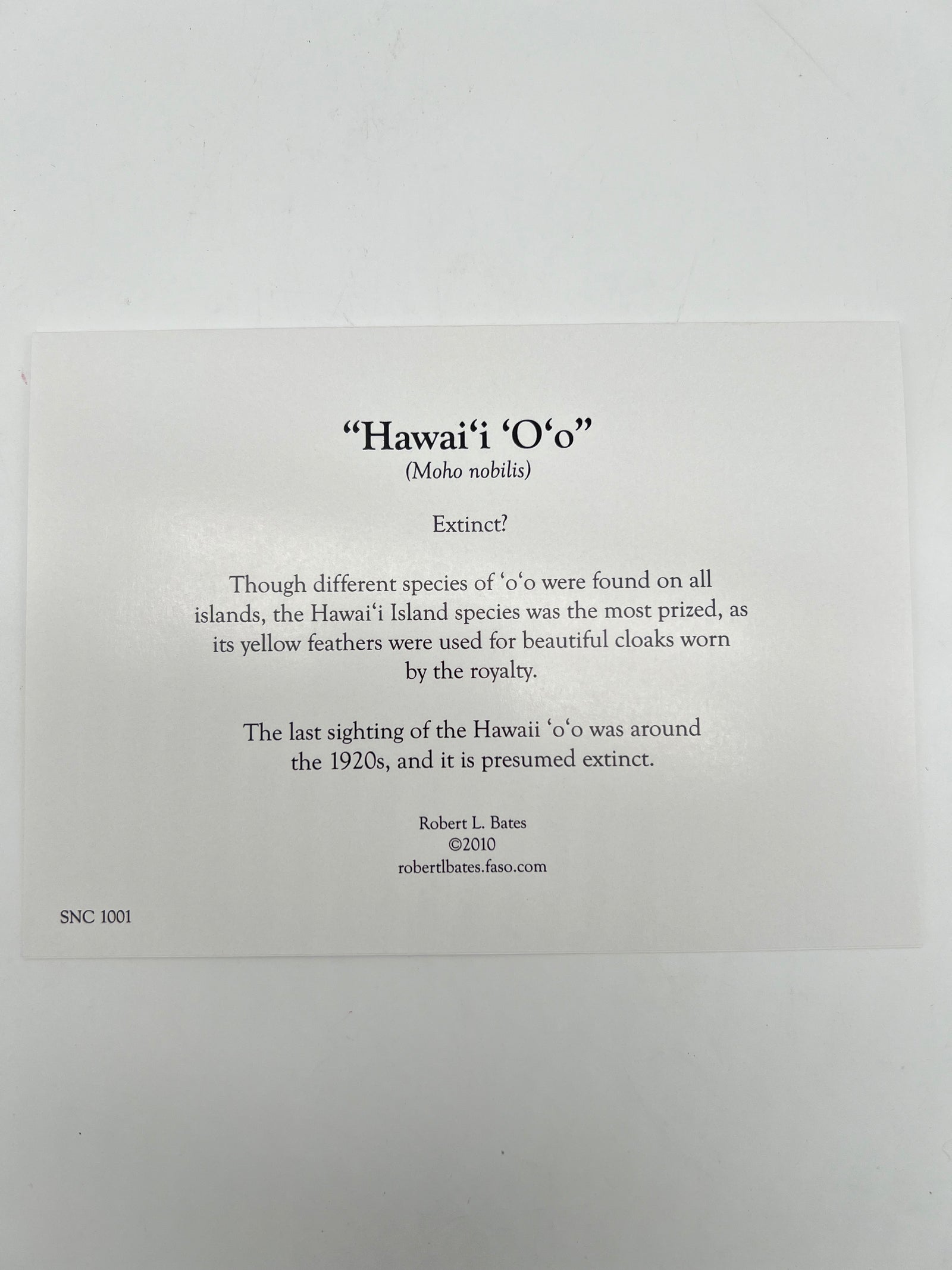 Hawaiian Hawk Greeting Card