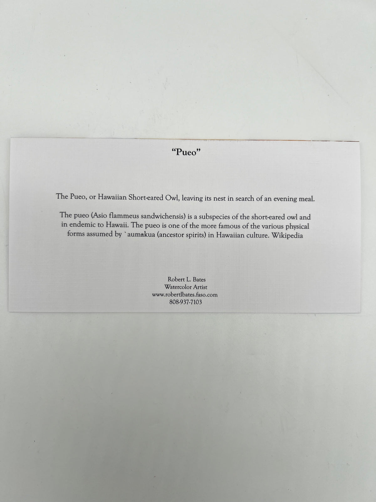 Hawaiian Owl Greeting Card