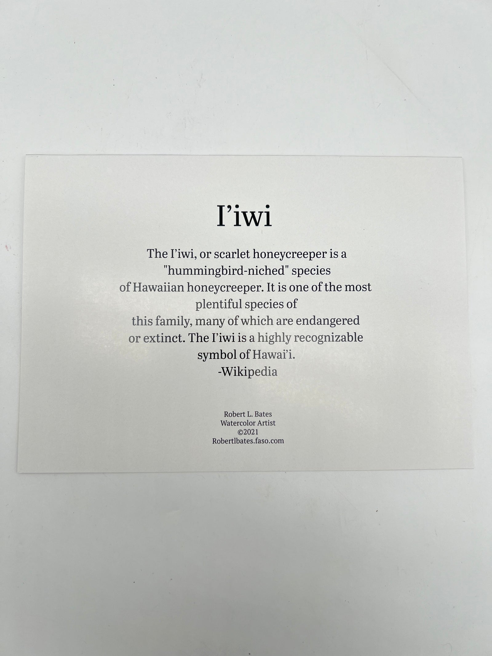 I'iwi Bird Greeting Card