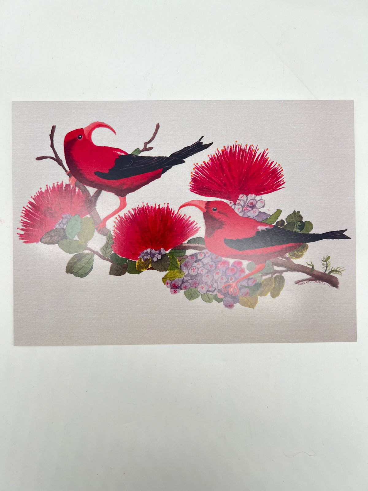 I&#39;iwi Bird Greeting Card