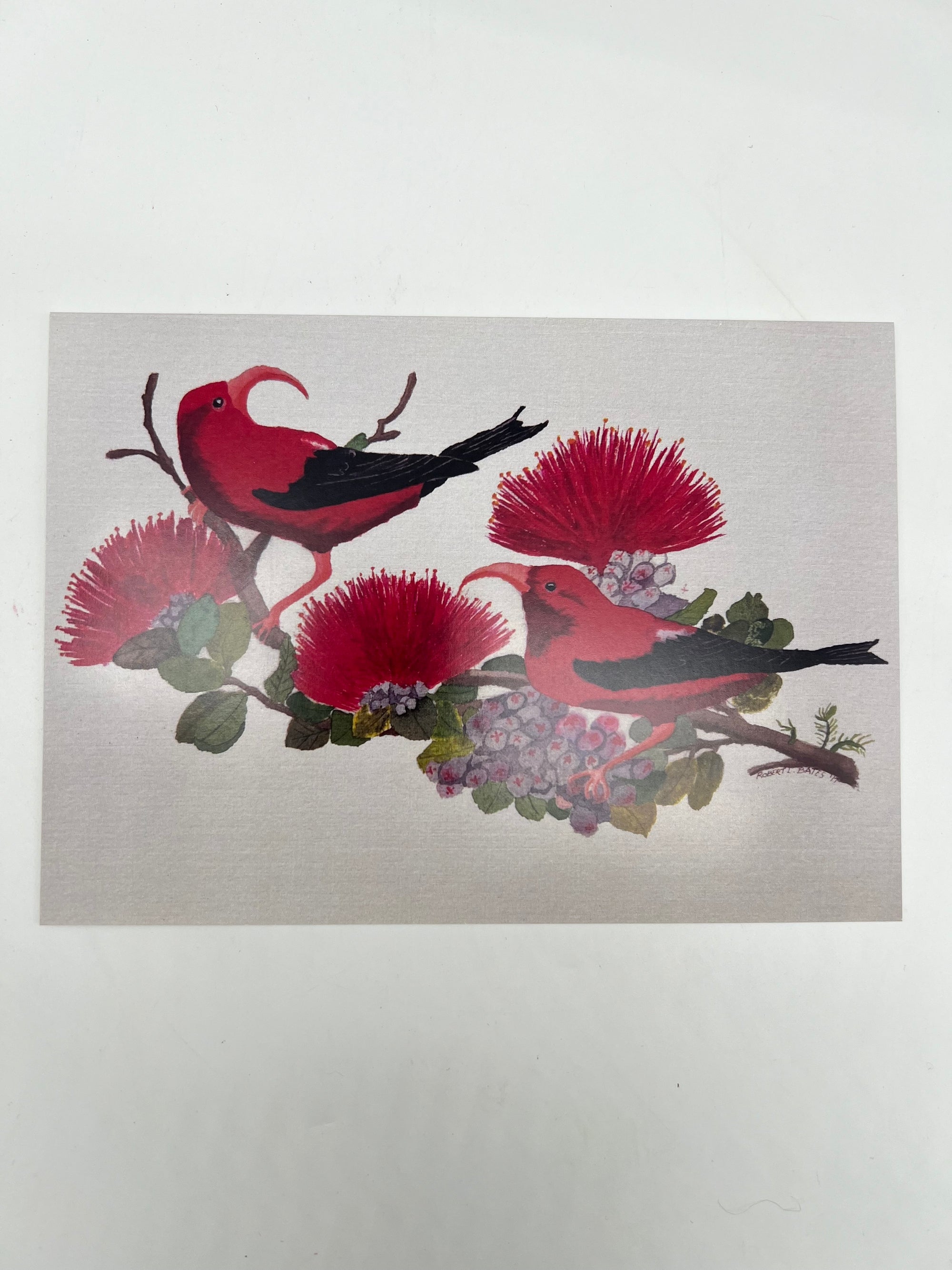 I'iwi Bird Greeting Card