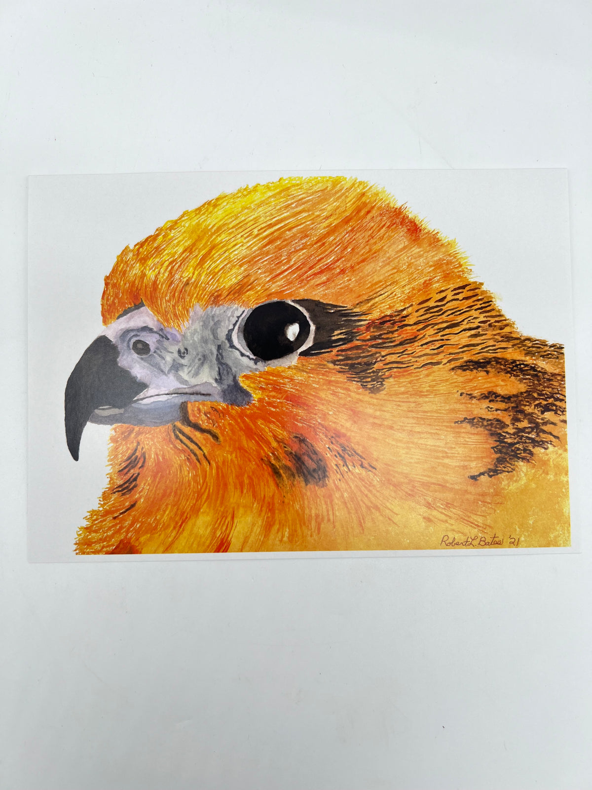 Io Bird Greeting Card