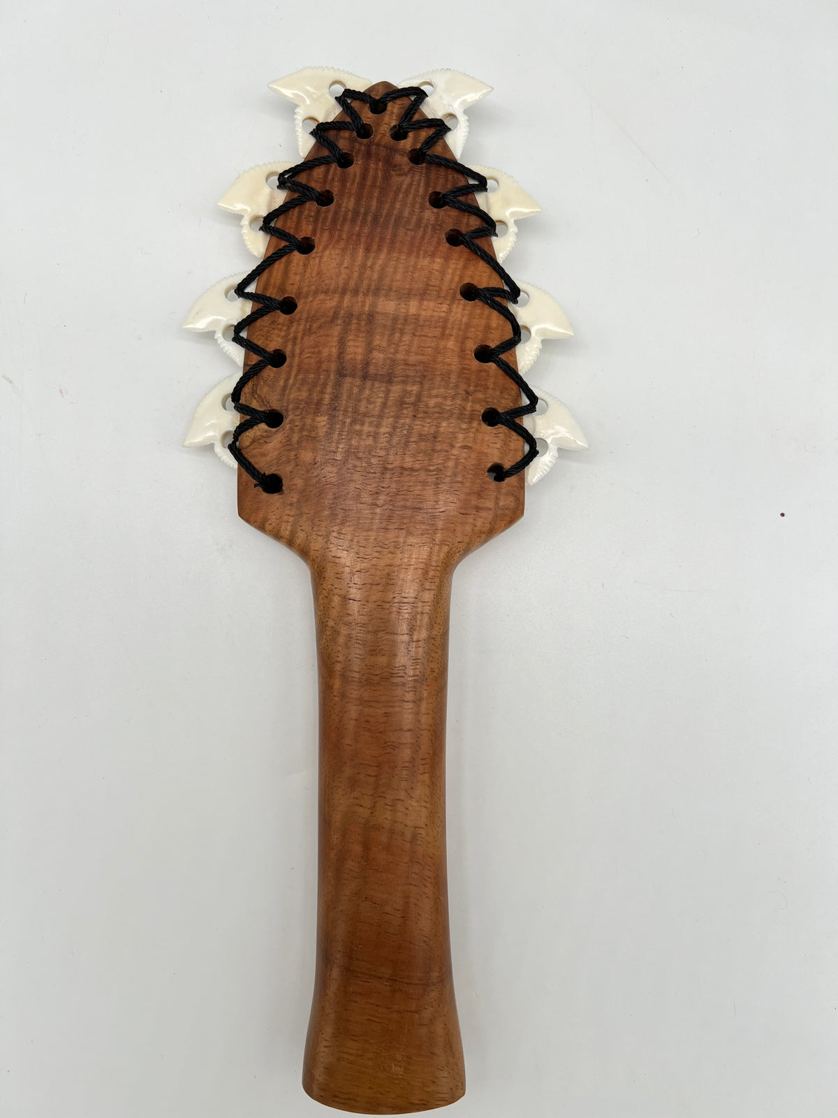 Small Lei O Mano - 8 Tiger Shark Teeth