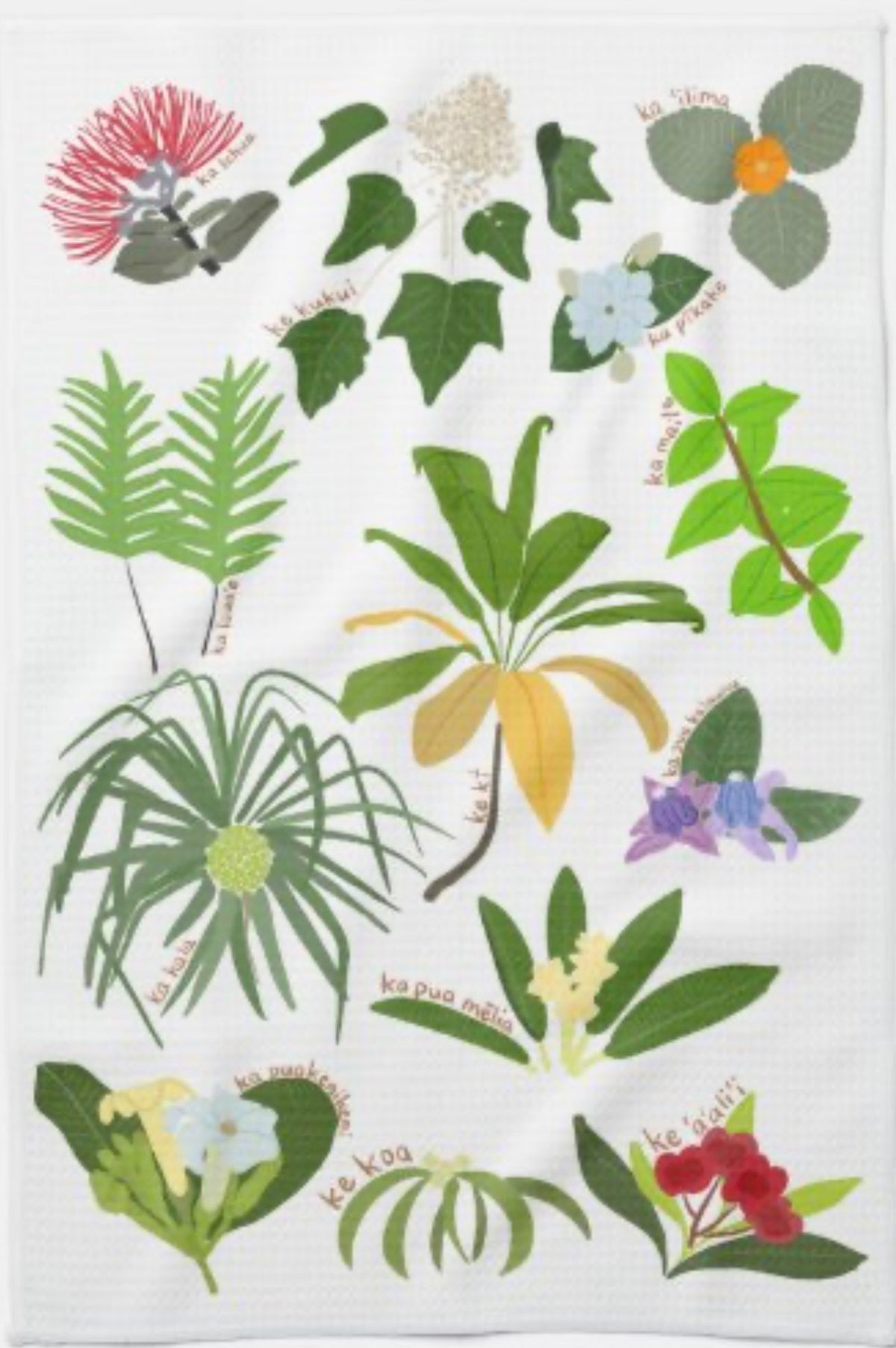 Pua and Plants Kitchen Towel