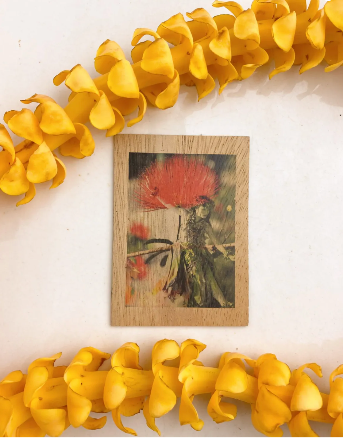 Koa Magnets Makeneki