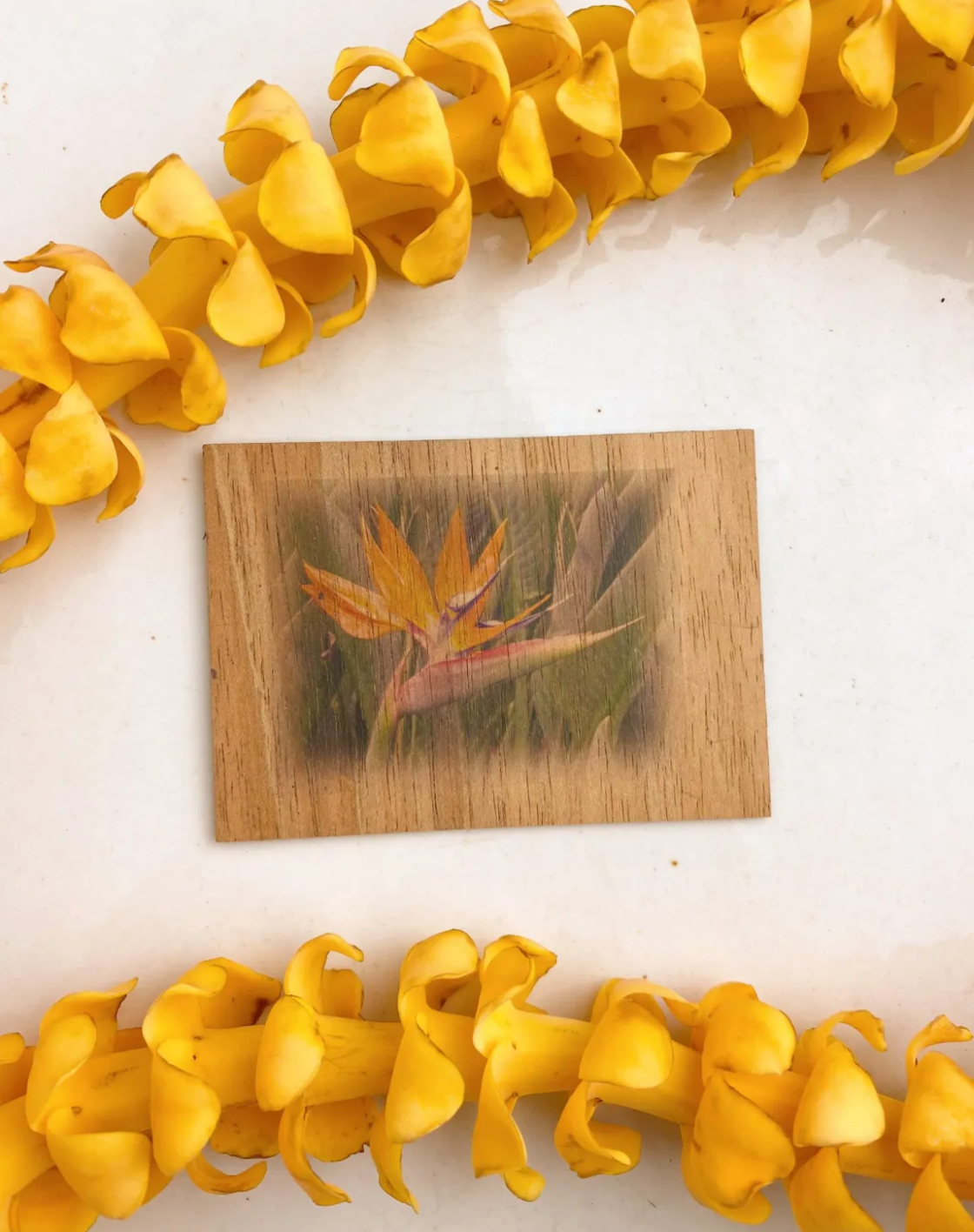 Koa Magnets Makeneki