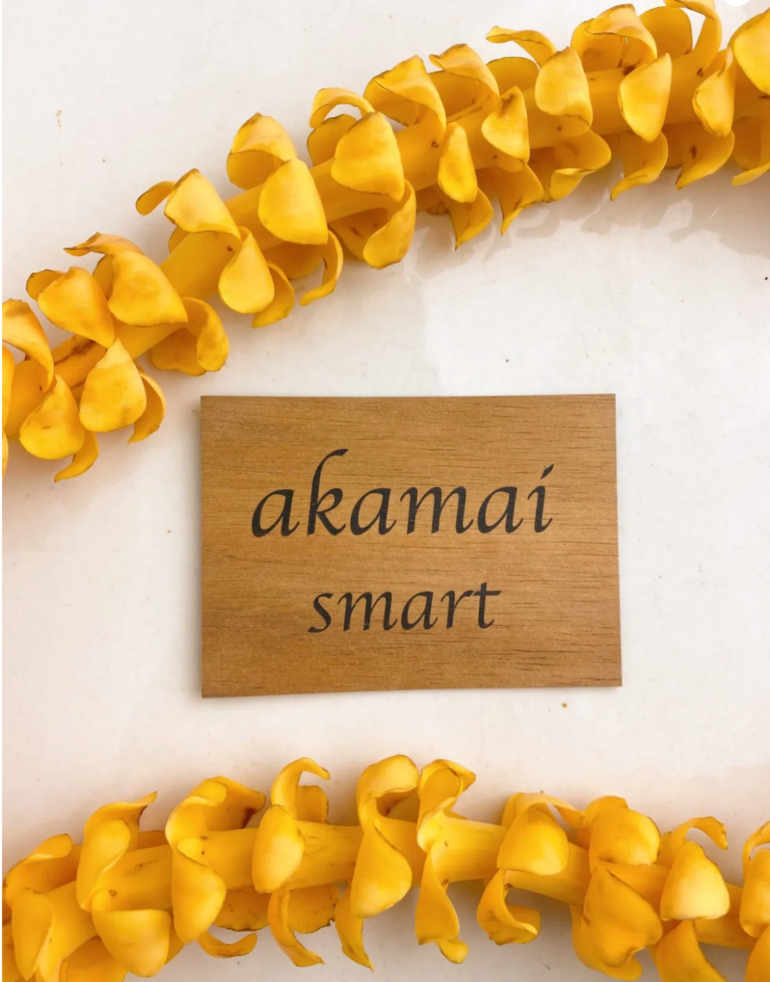 Koa Magnets Makeneki