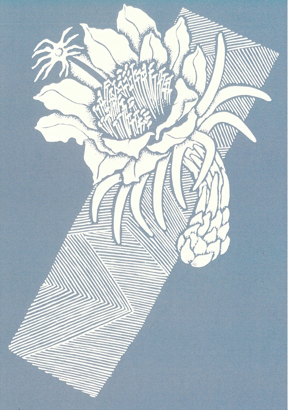 Tutuvi Night Blooming Cereus Note Card 5" x 7"