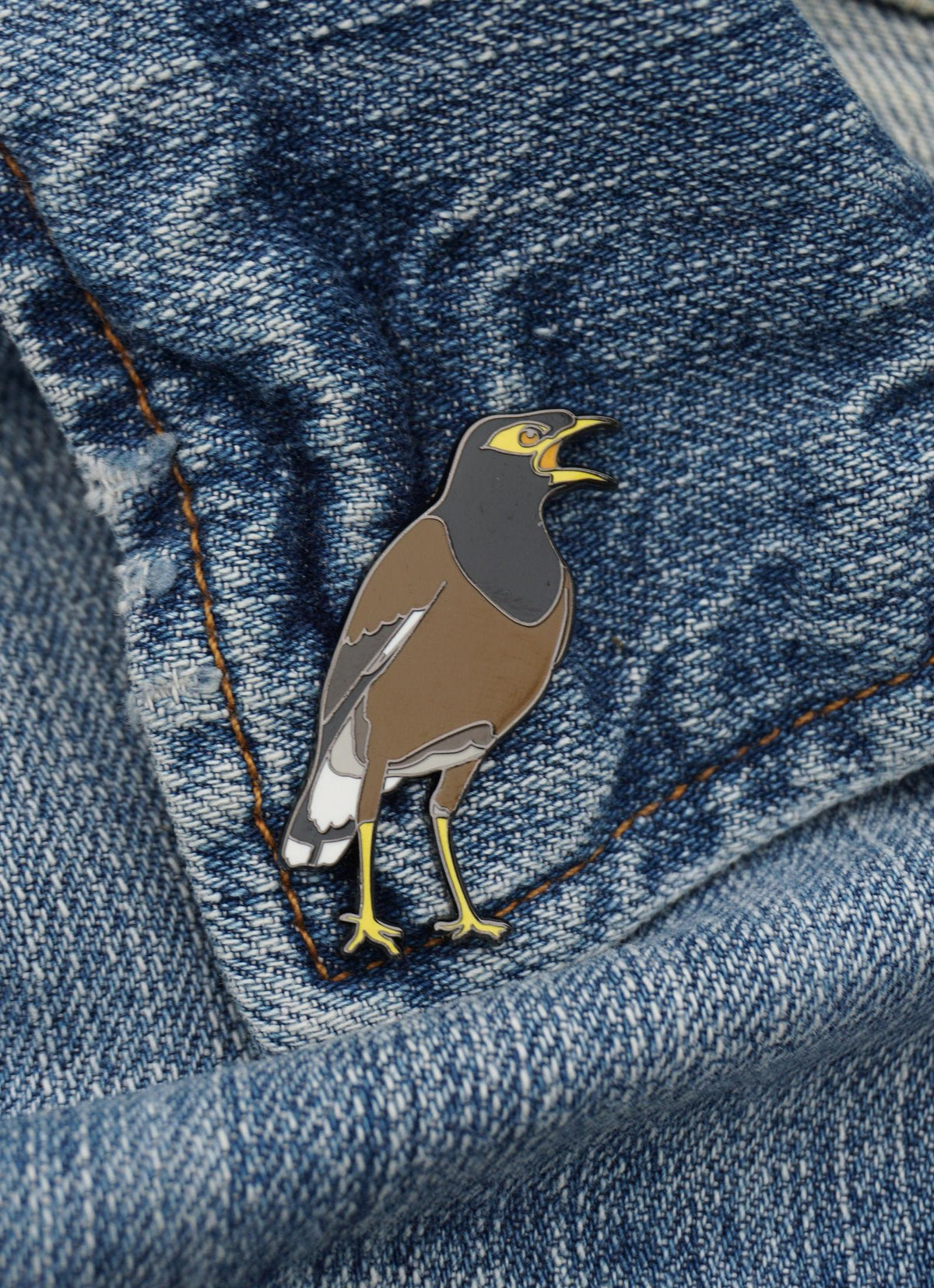 Myna Bird Pin