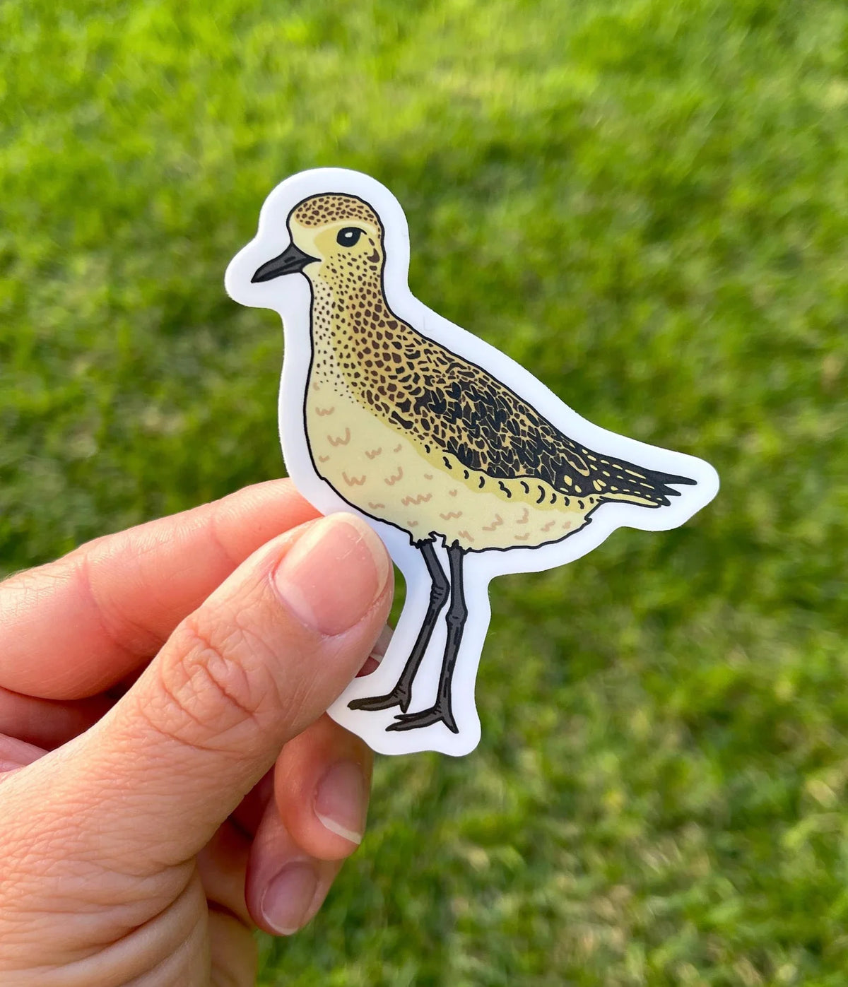 Kolea Sticker