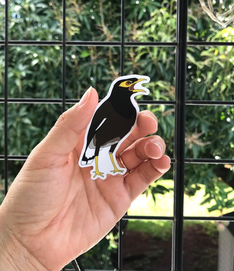 Myna Bird Sticker