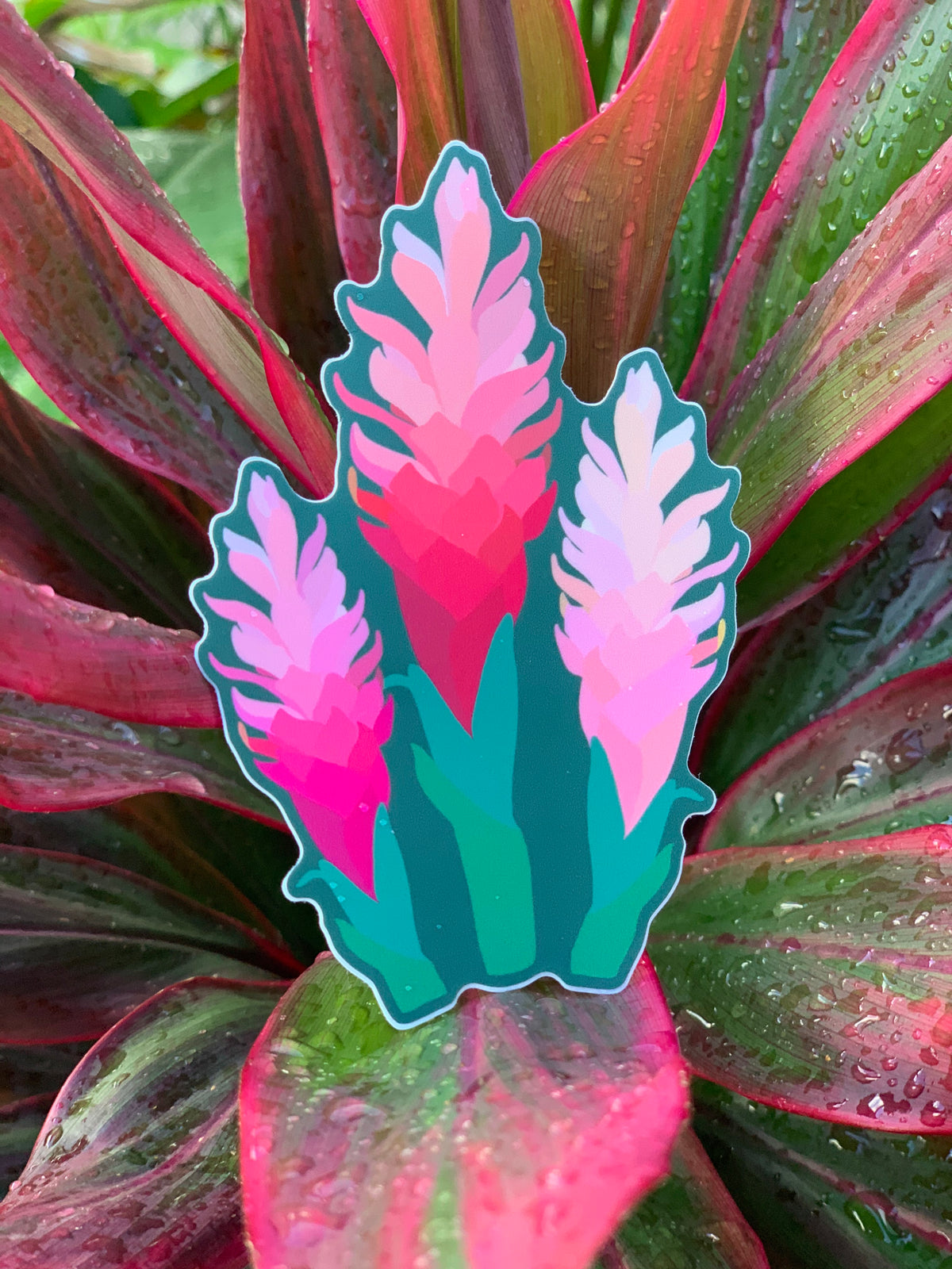 Pink Awaphui (Torch Ginger) Sticker