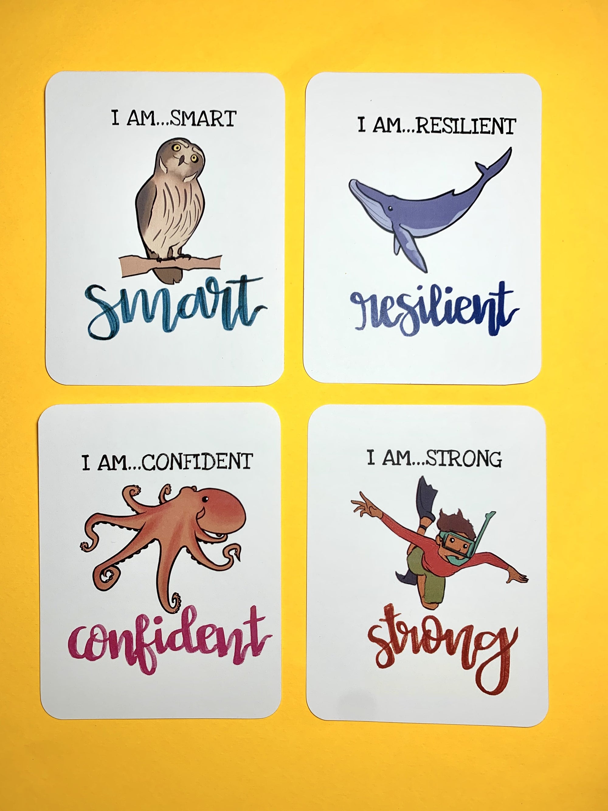 Flash Card Sets