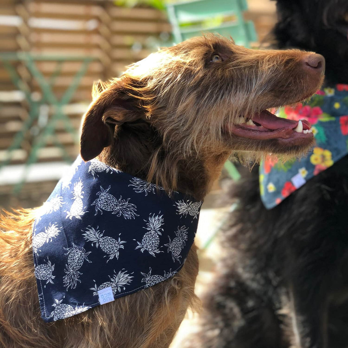 Navy & White Pineapple Bandana