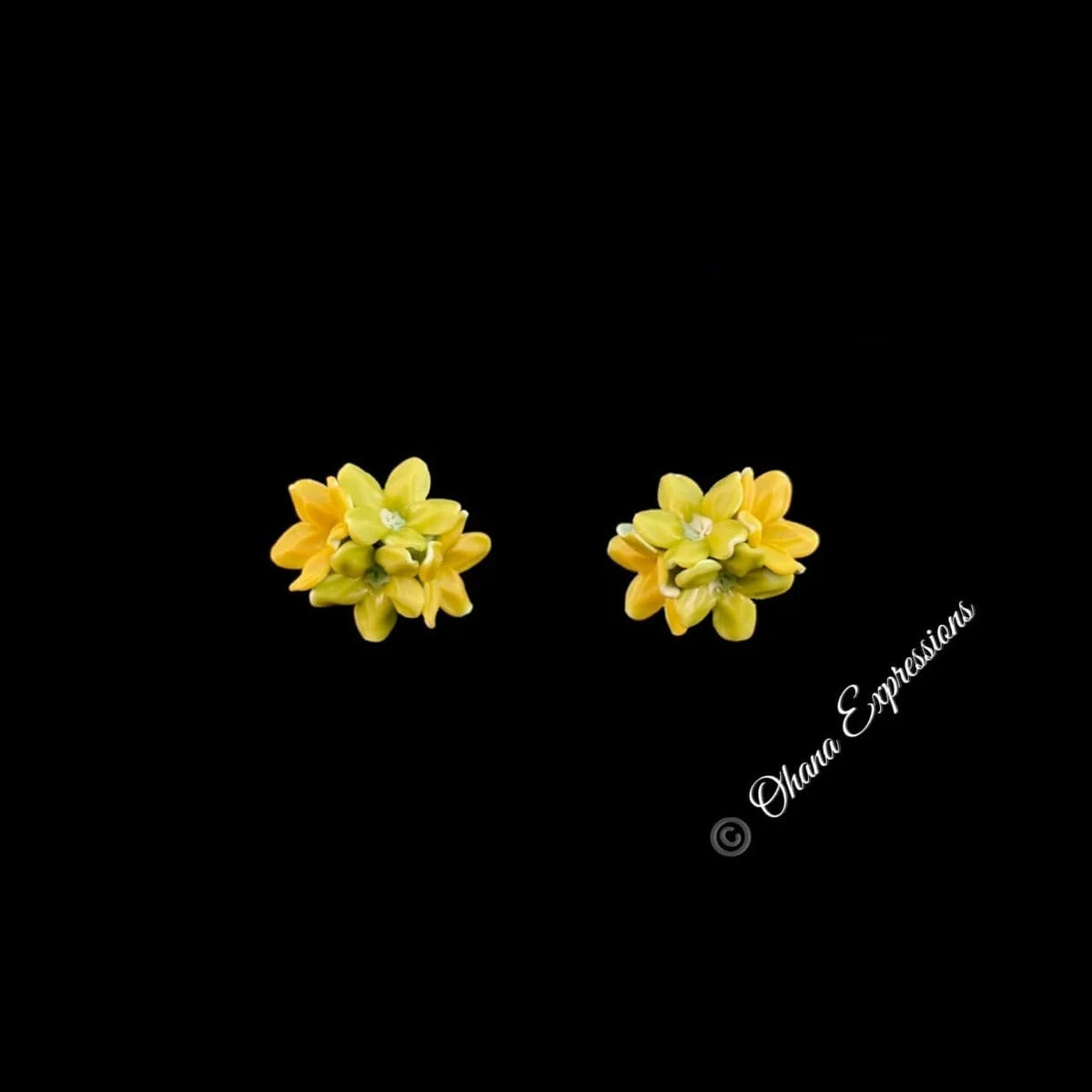 Pakalana Quad Stud Earrings - 2 Green & 2 Orange