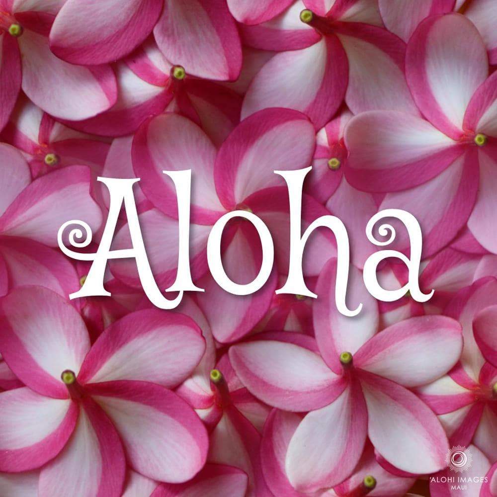 Photo Coasters - Pua Melia Plumeria