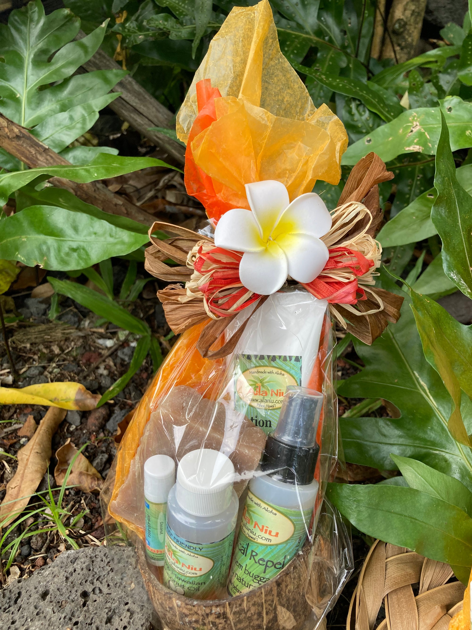 Pop-Up Mākeke - Aila Niu Hawaii - Hawaiian Coconut Bowl Skincare Set