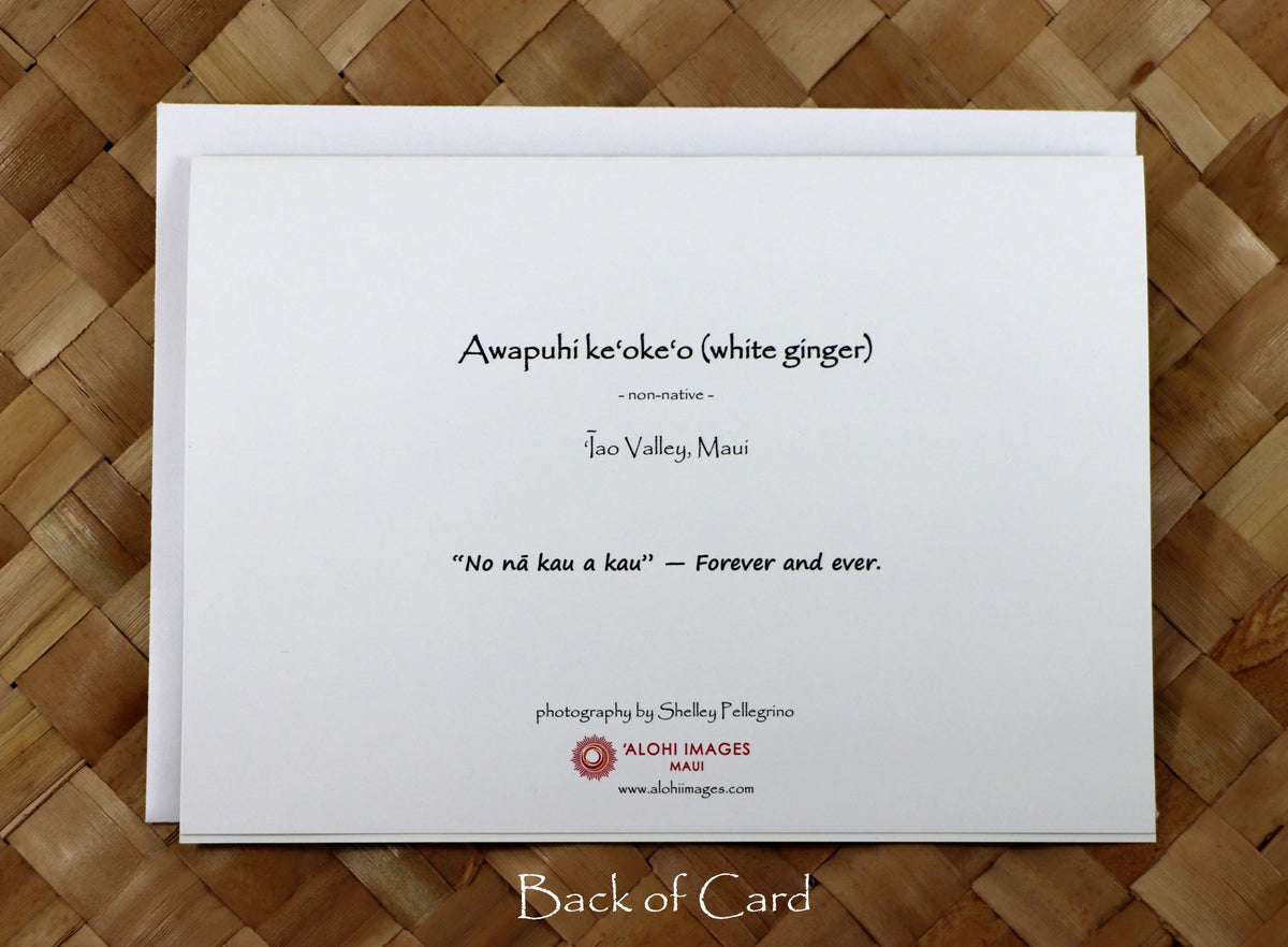 Pop-Up Mākeke - Alohi Images Maui - Awapuhi (White Ginger) - WeddingAnniversary Greeting Card - Forever and Ever - Back View