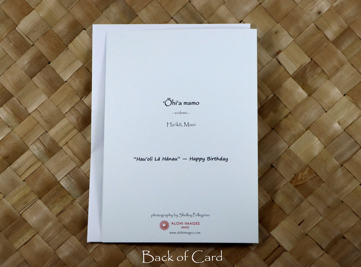 Pop-Up Mākeke - Alohi Images Maui - Hau‘oli Lā Hānau (Happy Birthday) Greeting Card - ‘Ōhi‘a mamo - Back View