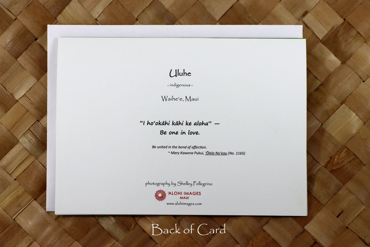 Pop-Up Mākeke - Alohi Images Maui - Uluhe (fern) - WeddingAnniversary Greeting Card - Be One in Love - Back View