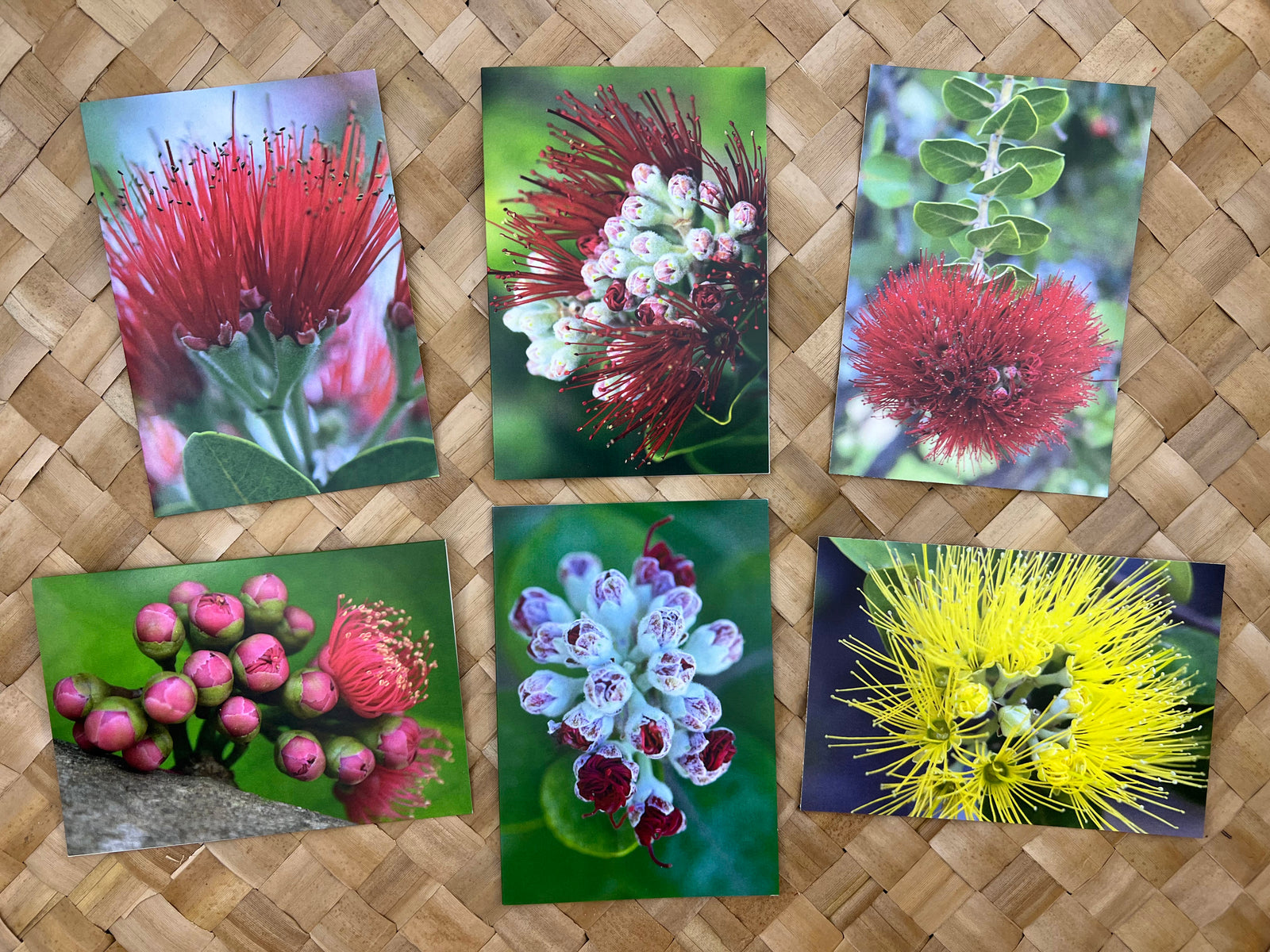 Pop-Up Mākeke - Alohi Images Maui - ‘Ōhi‘a Variety Notecard Set