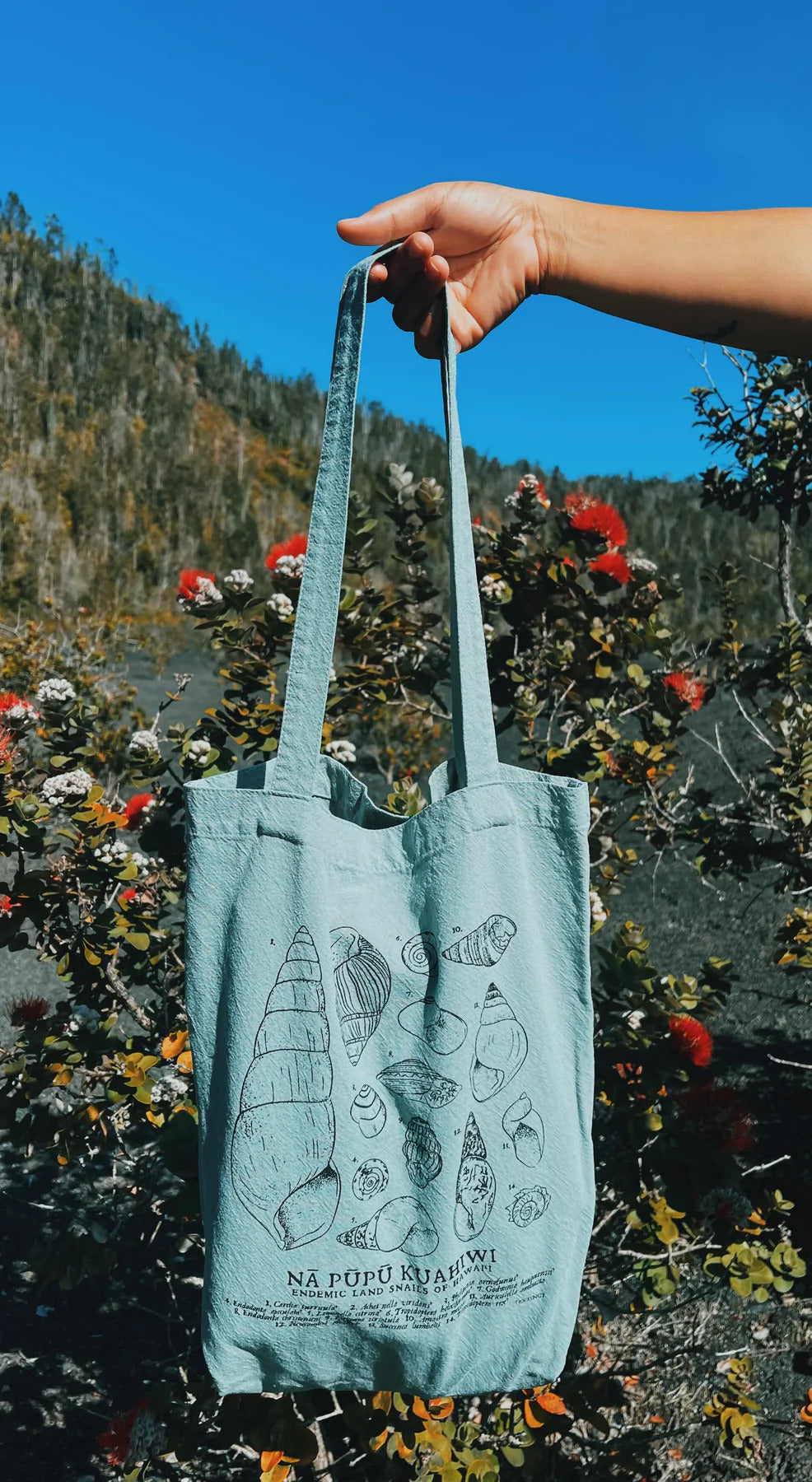 Pop-Up Mākeke - Laulima Hawaii - Hawaiian Land Snails Tote Bag - Front View