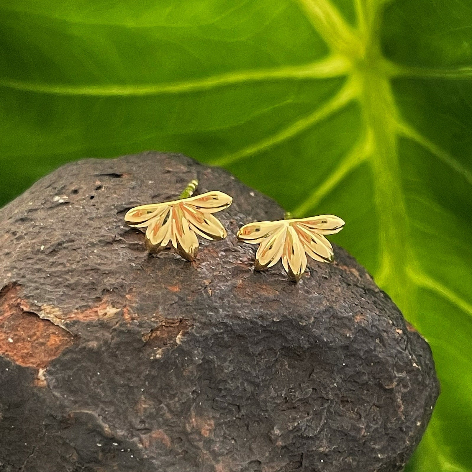 Pop-Up Mākeke - Te Hotu Mana Creations - Naupaka Gold Plated Stud Earrings