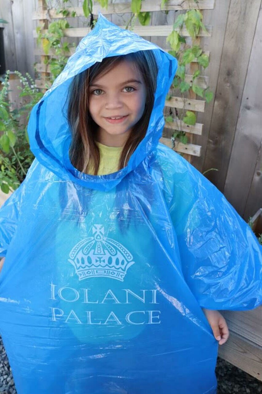 Rain Poncho