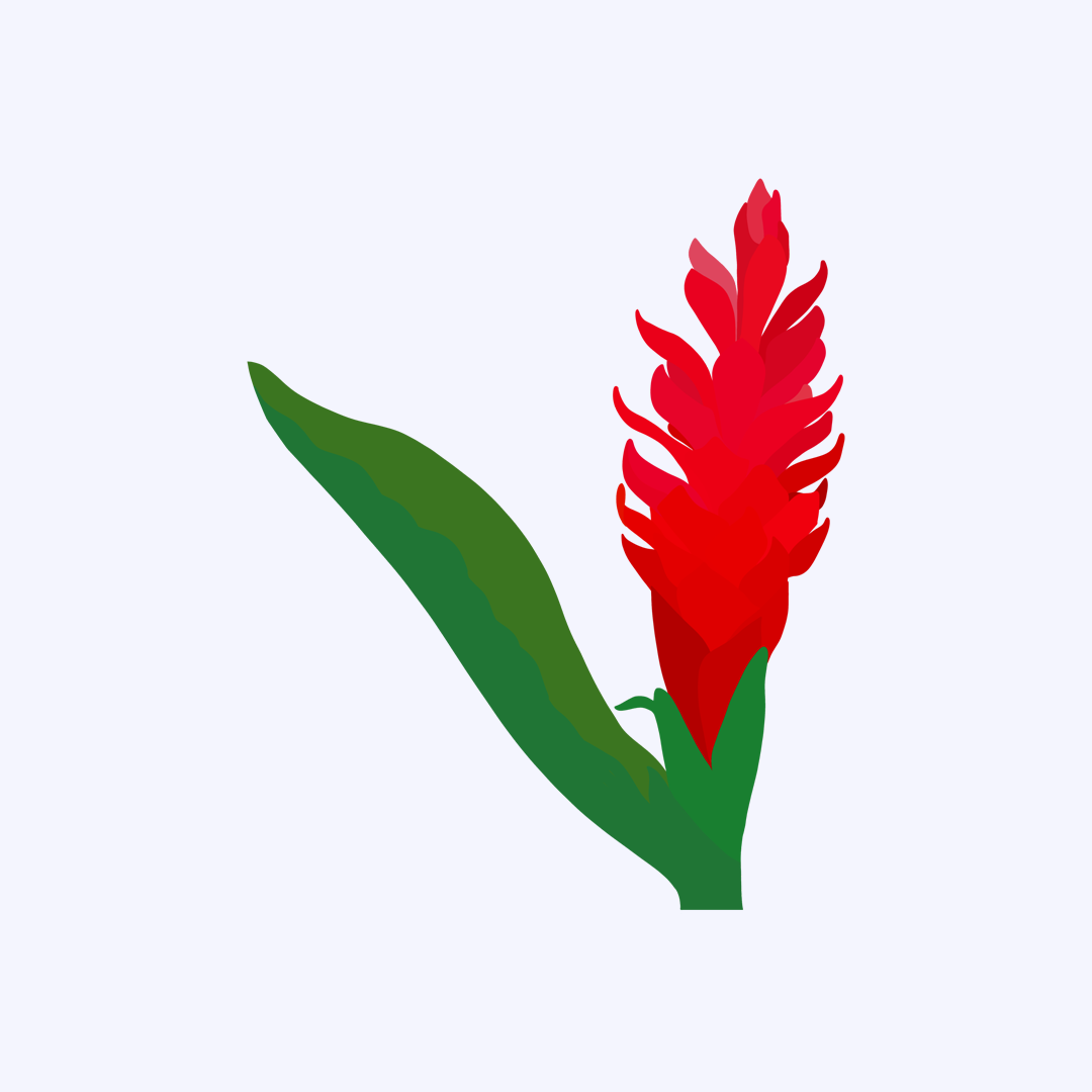 Red 'Awapuhi Sticker