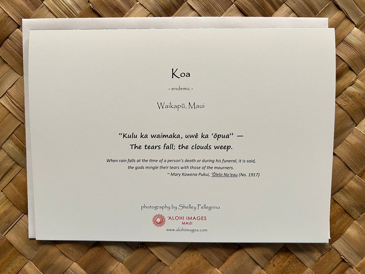 Koa Sympathy Greeting Card