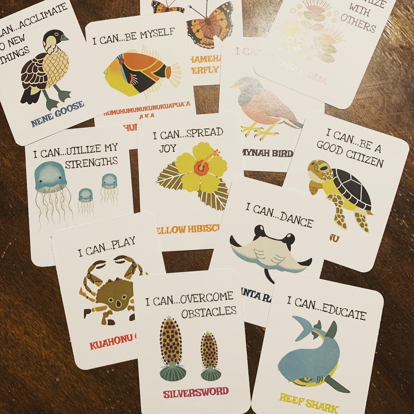 Flash Card Sets