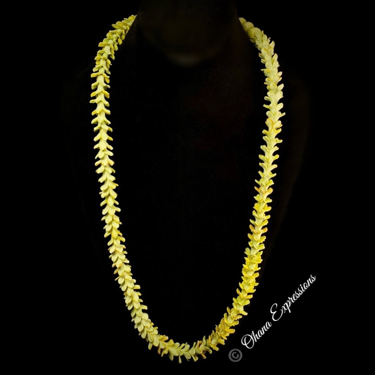 Pakalana Lei - 30in